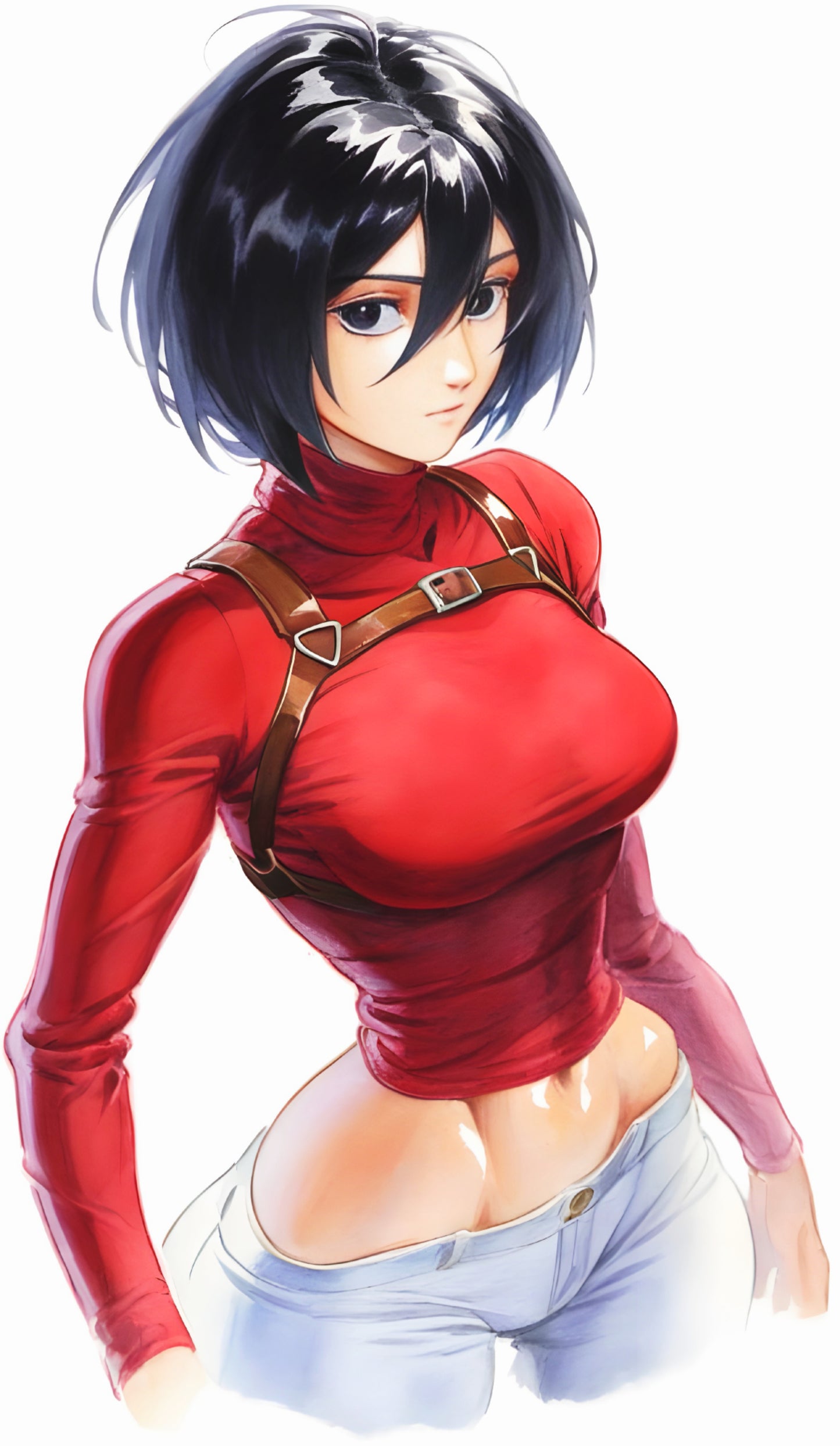 Attack On Titan Pack