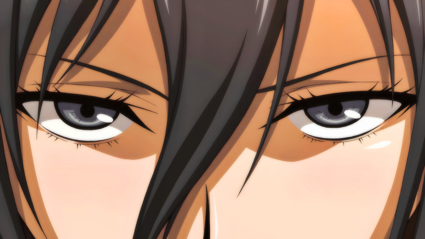 Attack On Titan Pack