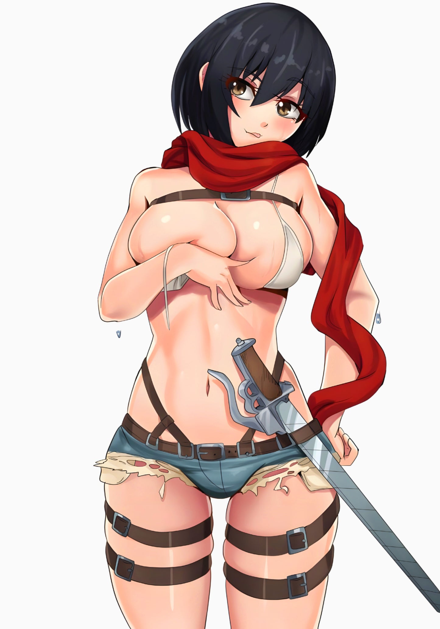 Attack On Titan Pack