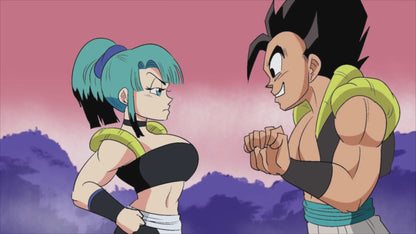 Dragon Ball Pack